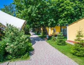 002_DJI_0033аллеядрон_thumb