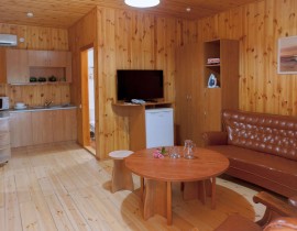 008_IMG_0178 гсти+кухня_thumb