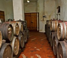 Институт Таирова