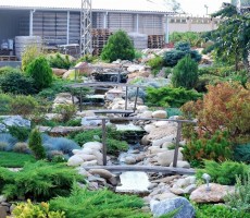 Альпийская горка