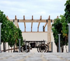 Музей под открытым небом